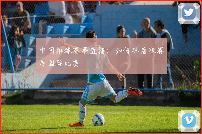 中国排球赛事直播:如何观看联赛与国际比赛