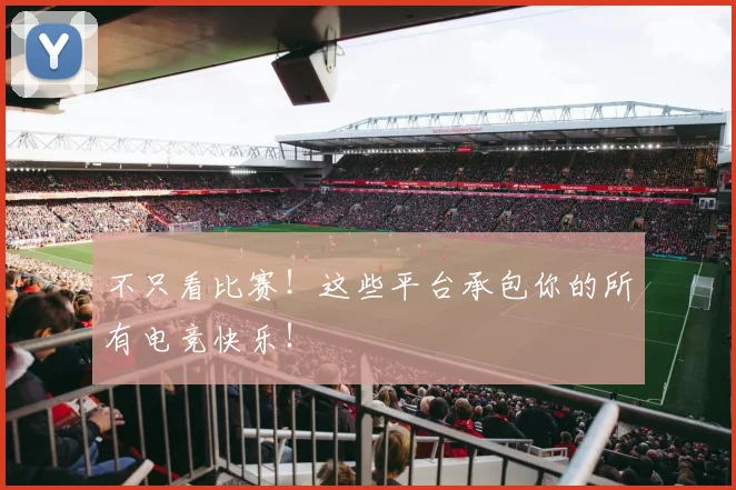 不只看比赛！这些平台承包你的所有电竞快乐！