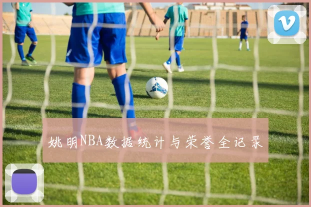 姚明NBA数据统计与荣誉全记录