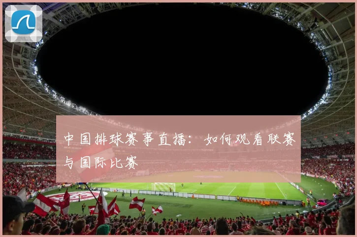 中国排球赛事直播：如何观看联赛与国际比赛