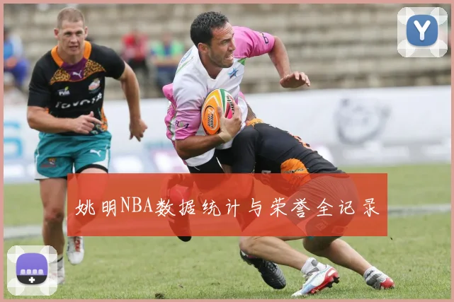 姚明NBA数据统计与荣誉全记录